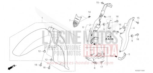 KOTFLUEGEL, VORNE C125AN de 2022